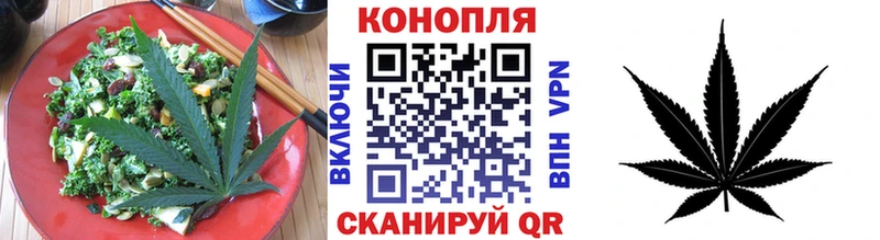 omg онион  Миньяр  Canna-Cookies конопля 