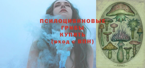 прущая мука Няндома