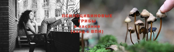 прущие крисы Каменск-Шахтинский