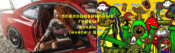 прущая мука Няндома