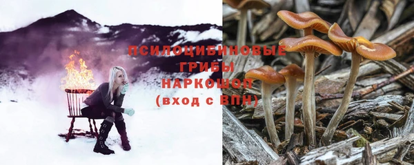 альфа пвп Новозыбков