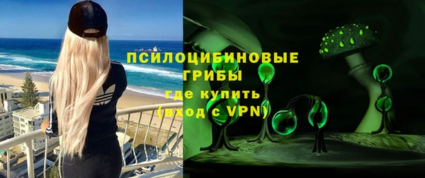 прущая мука Няндома