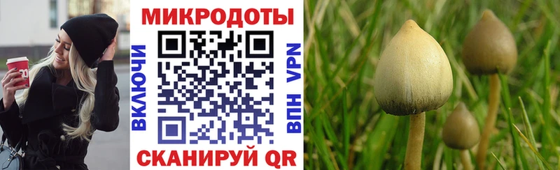 Псилоцибиновые грибы ЛСД  где купить наркоту  Миньяр 